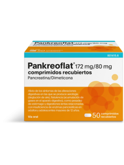 PANKREOFLAT 172 MG/80 MG 50...